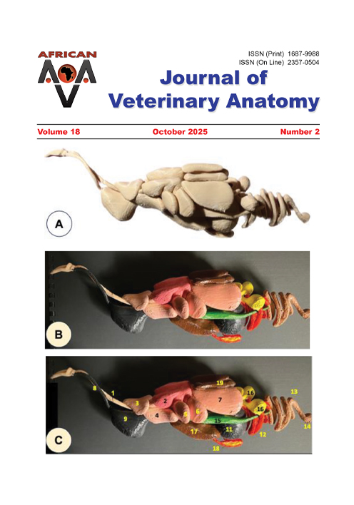 Journal of Veterinary Anatomy