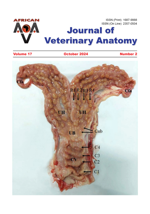 Journal of Veterinary Anatomy