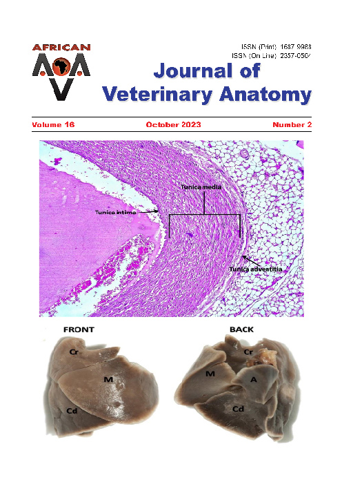 Journal of Veterinary Anatomy